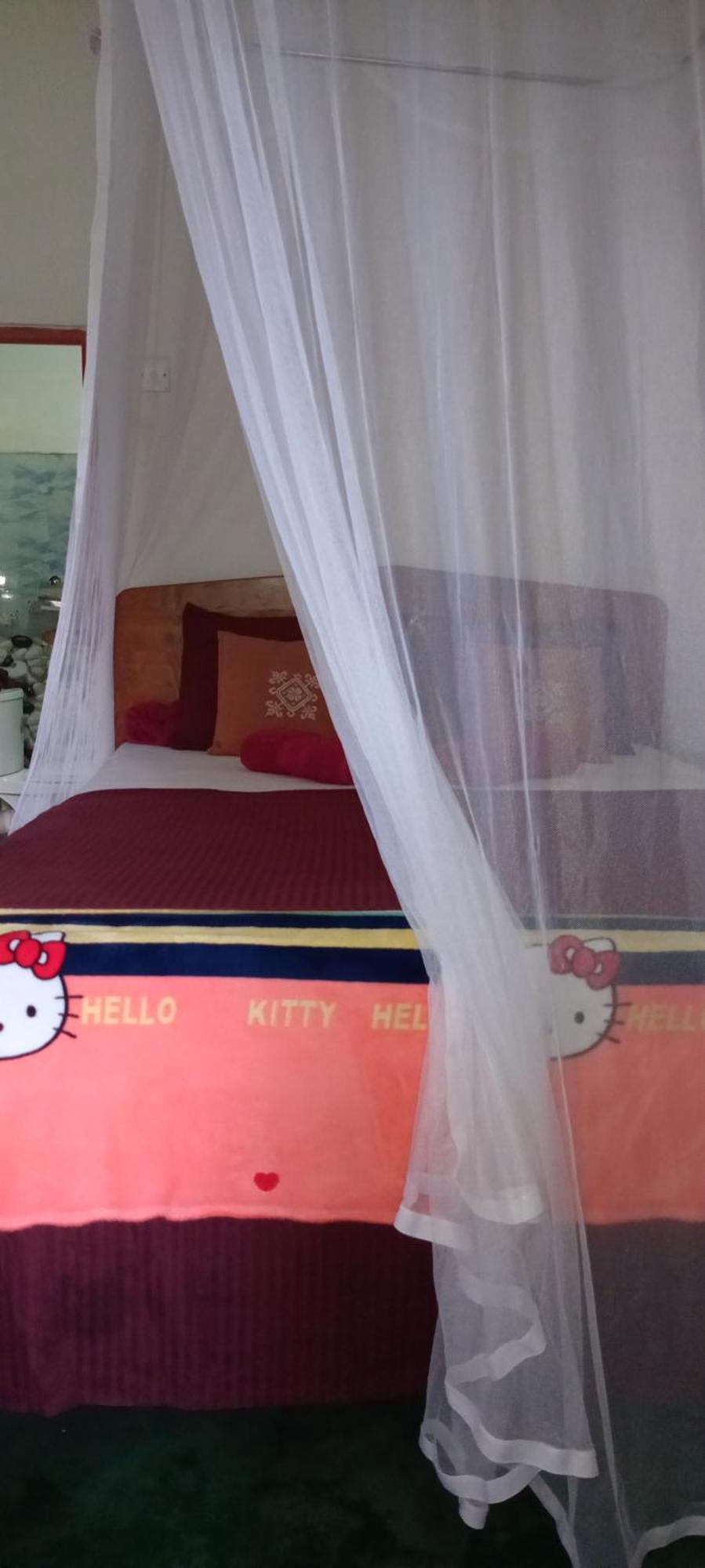 Dream Nest Apartman Ella Kültér fotó