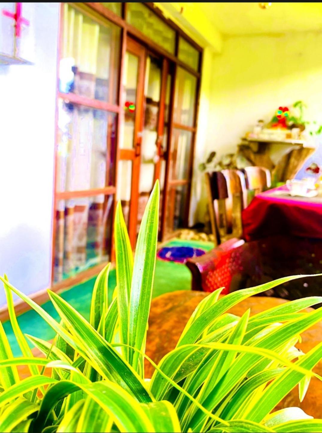 Dream Nest Apartman Ella Kültér fotó